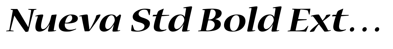 Nueva Std Bold Extended Italic